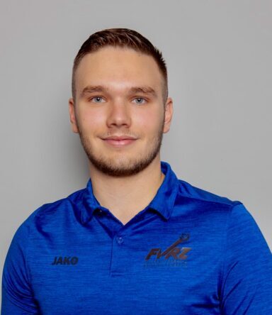 Nikola Ljubisavljevic